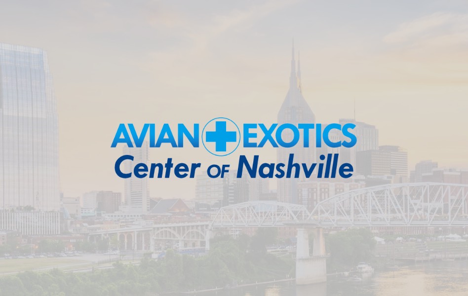 Avian & Exotics Center of Nashville